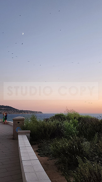 Redondo Beach