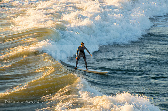 Surfer
