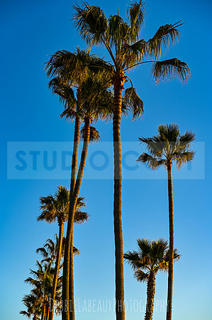 Manhattan Beach