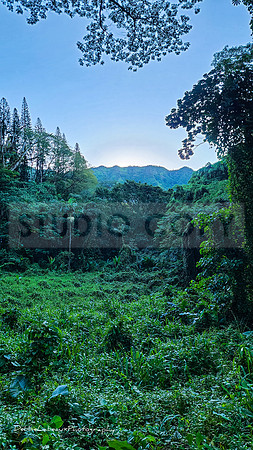 Hawaii