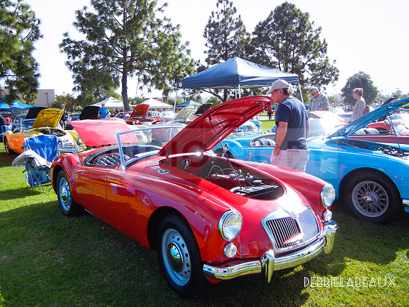 Classic cars