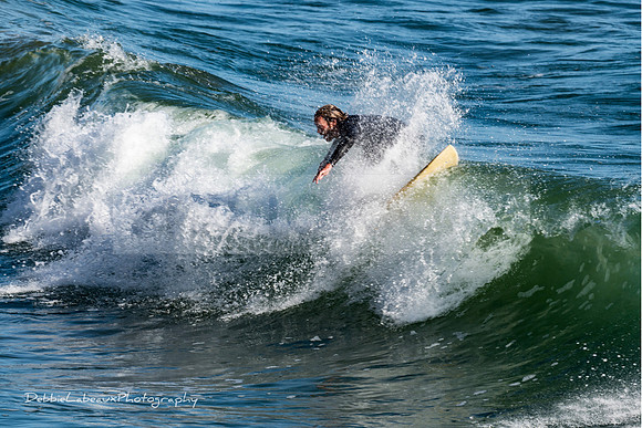 Surfer