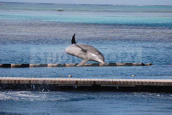 Tahiti