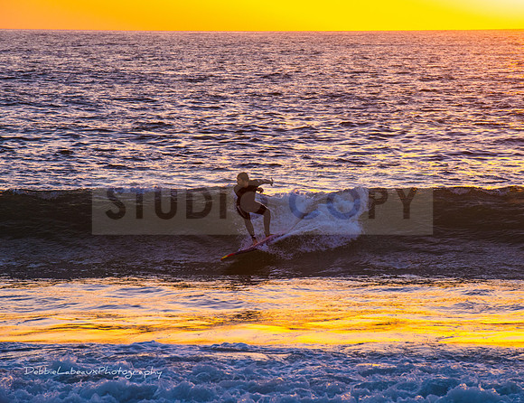 Surfer