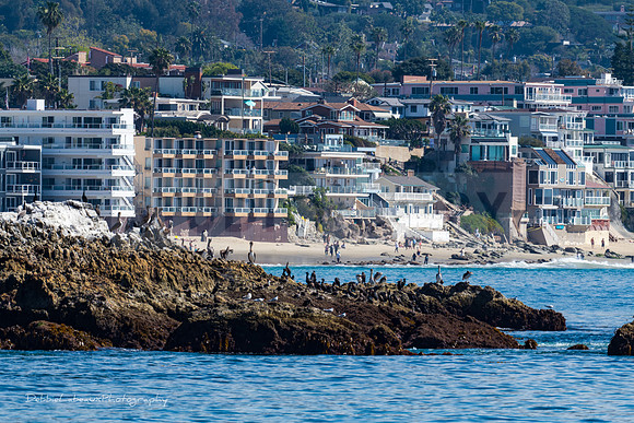 Laguna Beach