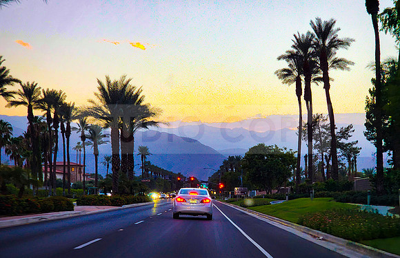 Palm Springs
