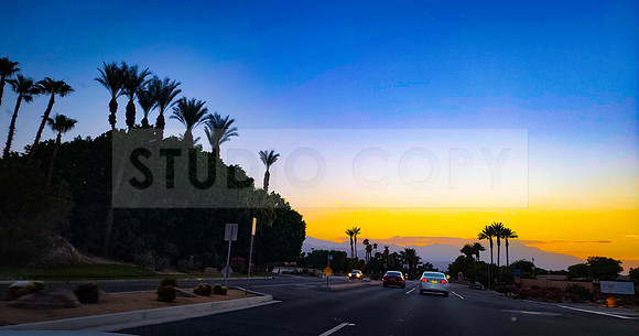 Palm Springs