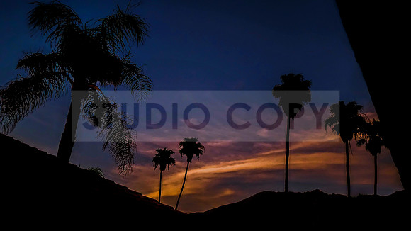 Palm Springs