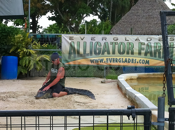 Florida