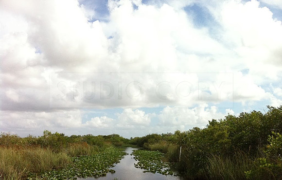 Florida