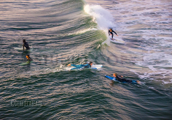 Surfer