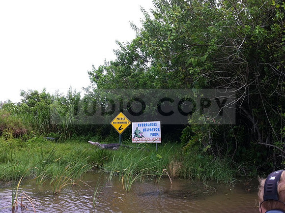 Everglades