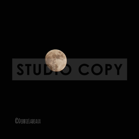 Moon