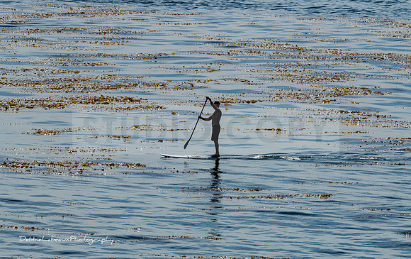 Paddle boarding