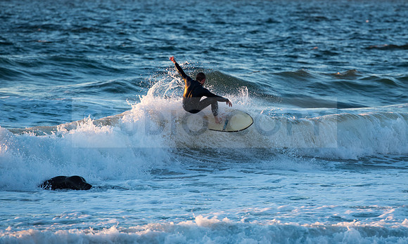 Surfer