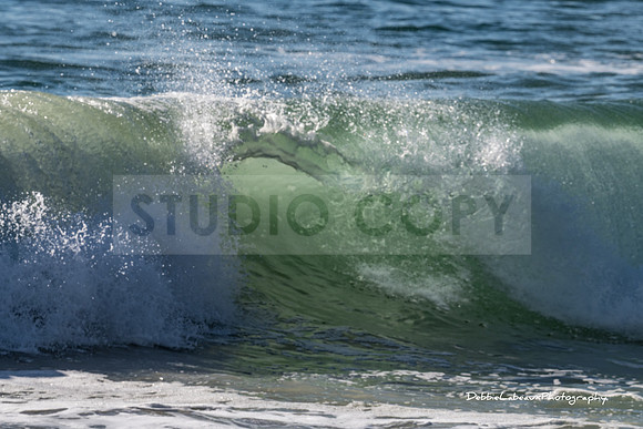 Laguna Beach