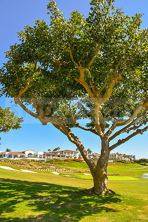 Monarch Resort Dana Point