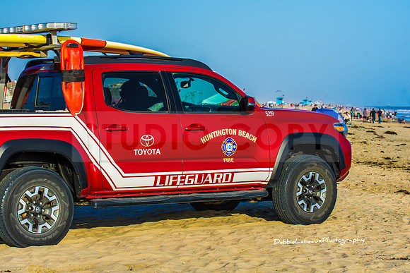 Lifeguard
