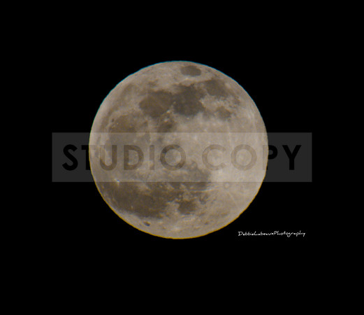 Full Moon