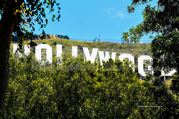 Hollywood Sign