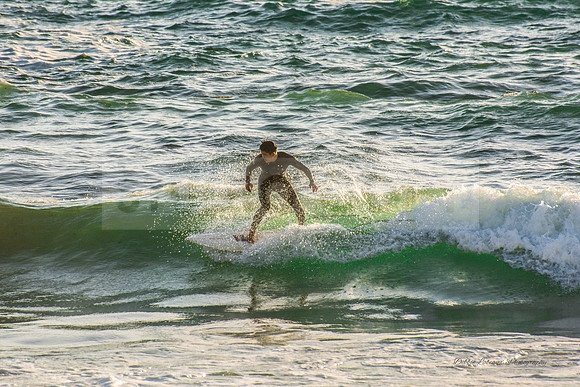 Surfer
