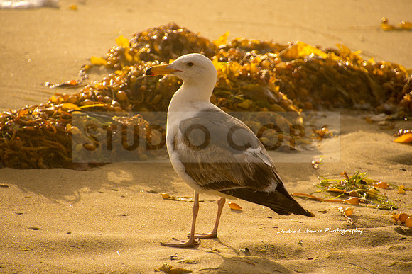 InShot_20201026_185428292