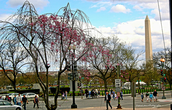 Washington DC