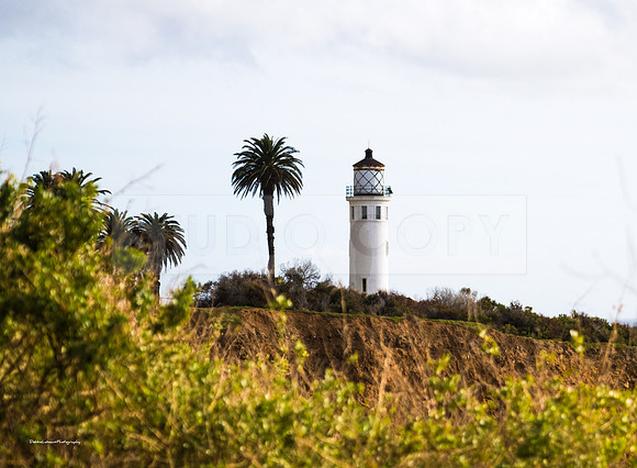 Pt Vicente Lighthouse