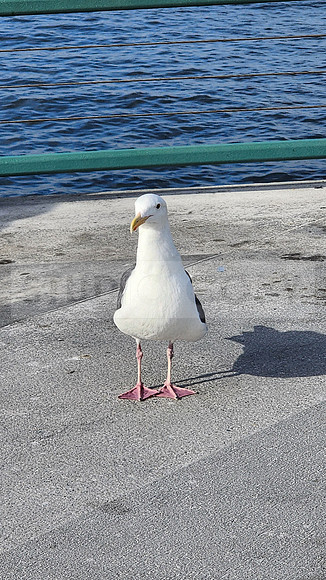 Redondo Beach