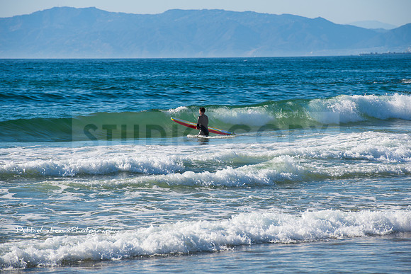 Surfer