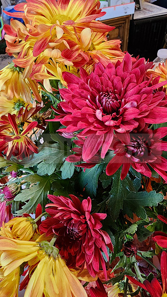 Flowers