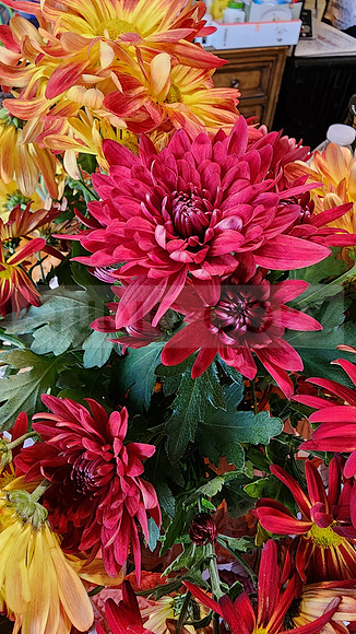 Flowers