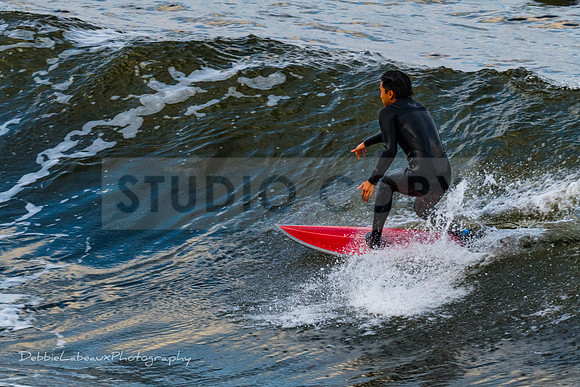 Surfer