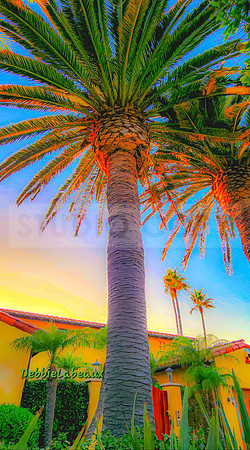 Redondo Beach