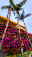 Redondo Beach