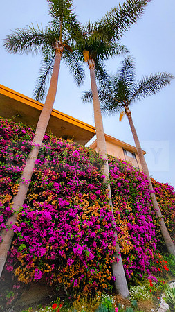 Redondo Beach
