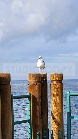 Redondo Beach